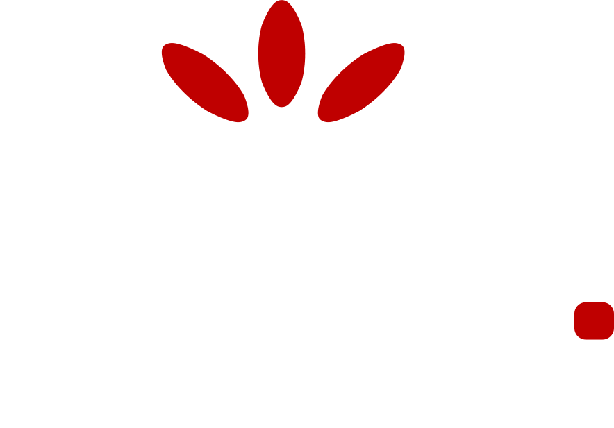 PNV logo
